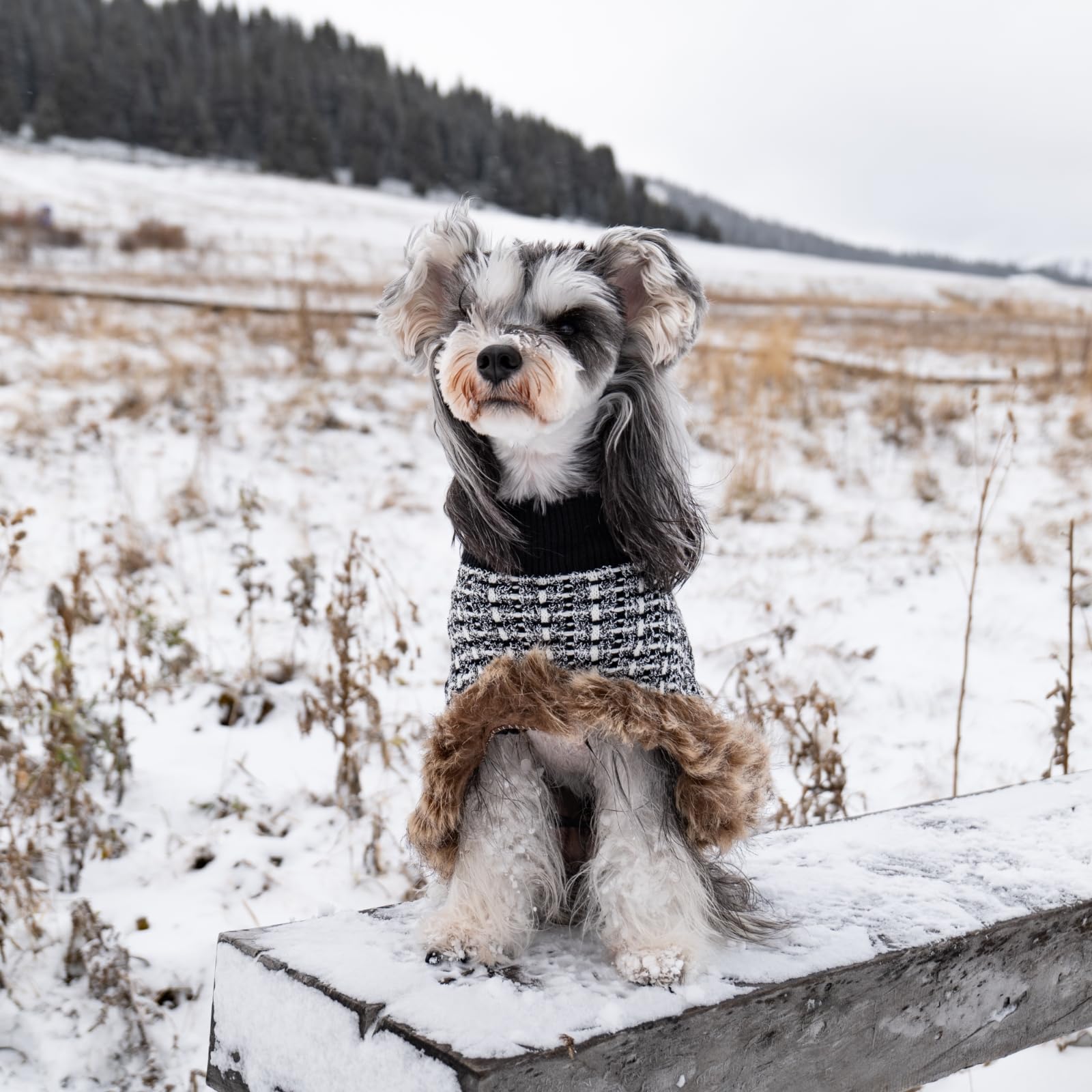 UNIPUP Dog Sweater Cloak adjustable waist ensures snug, comfortable fit.