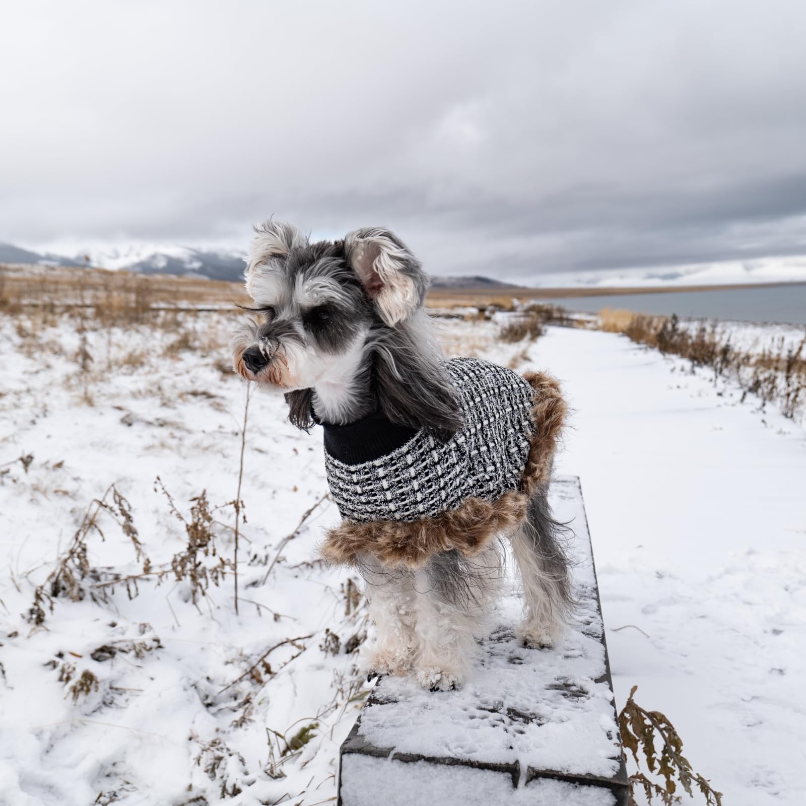 UNIPUP dog sweater cloak hip coverage provides extra warmth