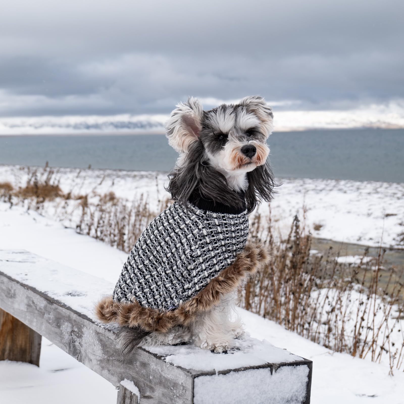 UNIPUP Dog Sweater Cloak hip coverage keeps hind legs warm.