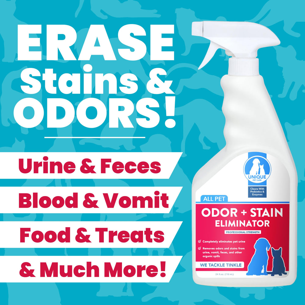 Unique Ready-To-Use Spray 24oz label highlights convenient pet mess cleanup.
