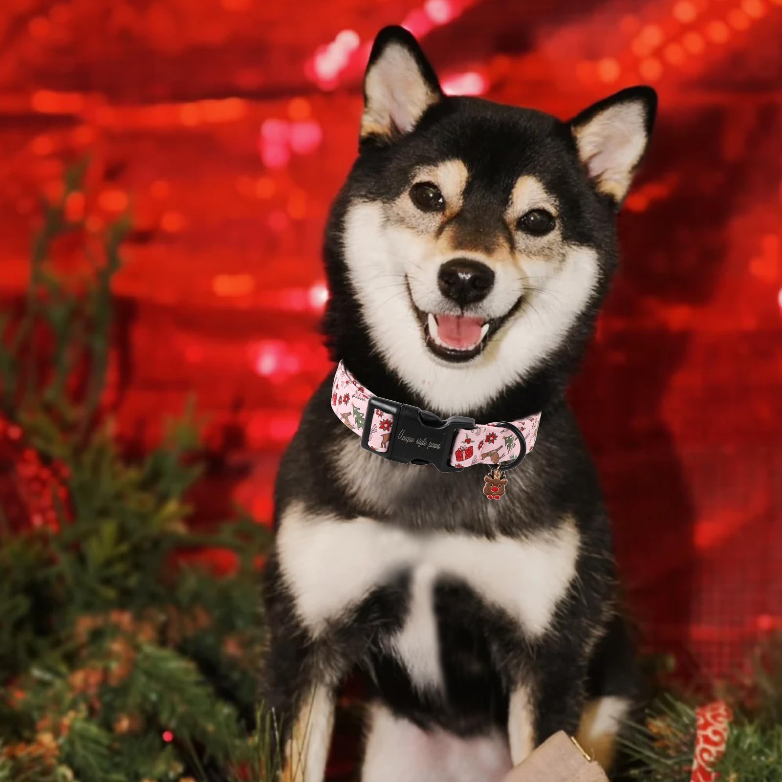 Unique Style Paws adjustable buckle dog collar enables easy fit for growing pets.