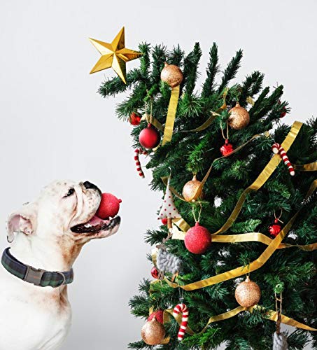 Unique Style Paws Christmas buckle detail emphasizes sturdy hardware for daily wear.