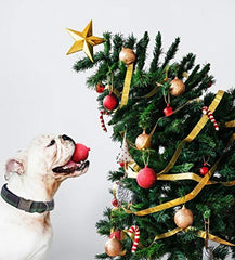 Unique Style Paws Christmas buckle detail emphasizes sturdy hardware for daily wear.