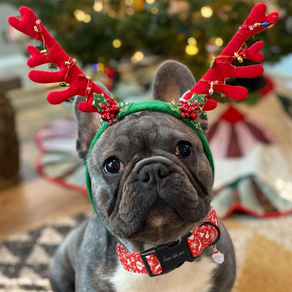 Unique Style Paws Christmas collar adjustable fit ensures comfortable wearing.