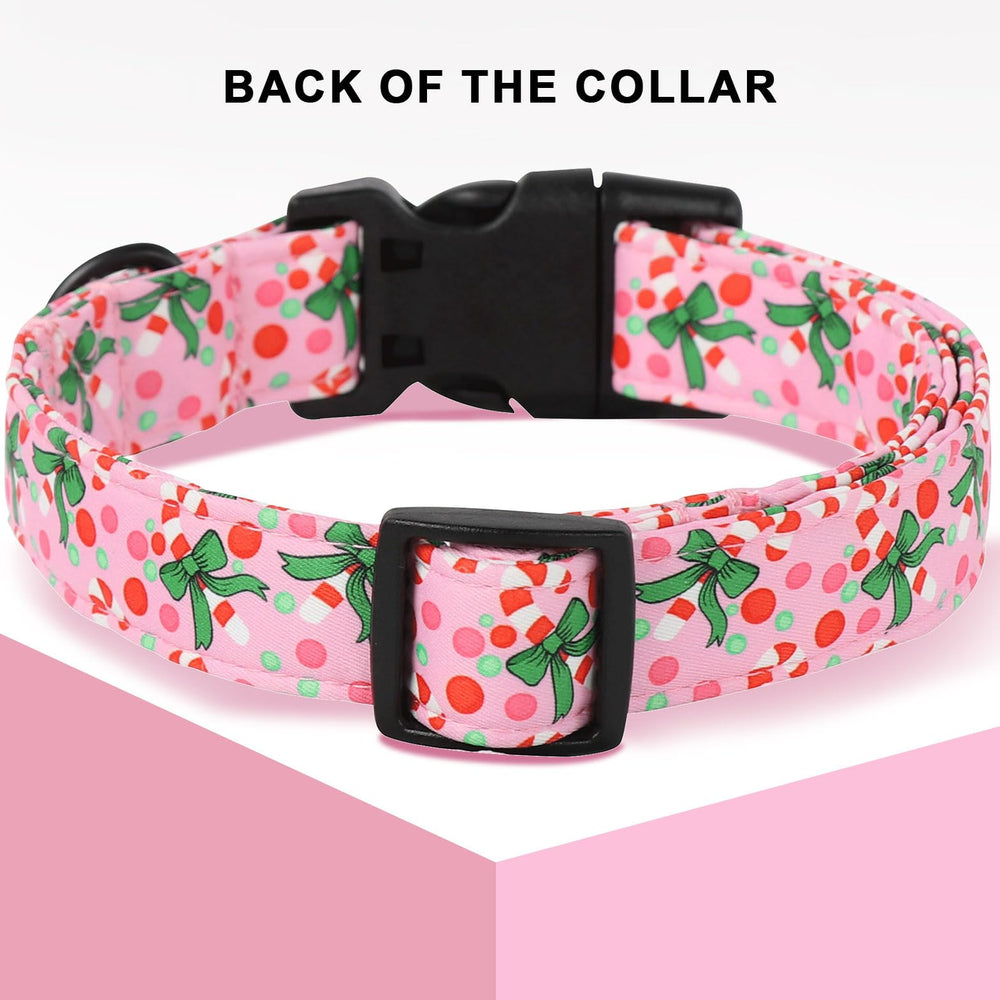 Unique Style Paws Christmas Collar candy cane pattern highlights festive design for photos.