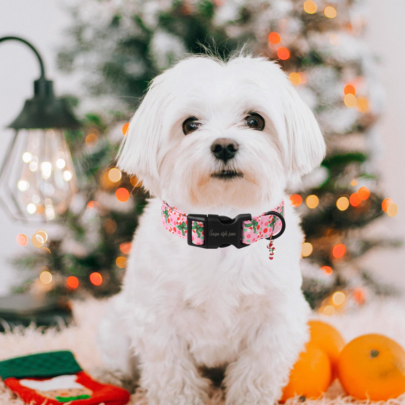 Unique Style Paws Christmas Collar close-up reveals soft, durable cotton layers.
