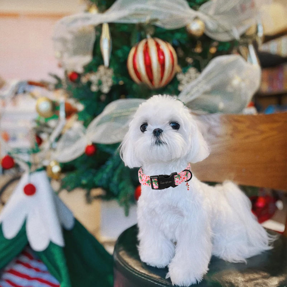 Unique Style Paws Christmas Collar pendant detail adds cute festive flair.