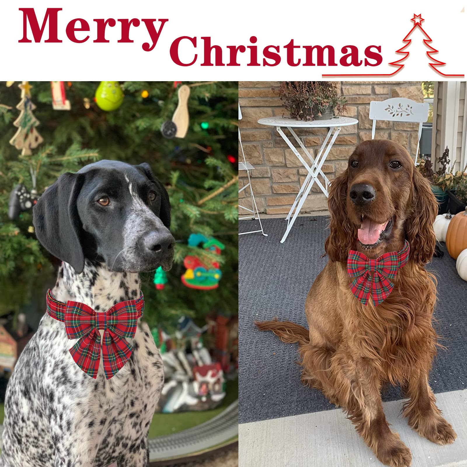 Unique Style Paws durable D-ring buckle for secure daily wear.