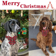 Unique Style Paws adjustable size feature helps fit small, medium, and large dogs.