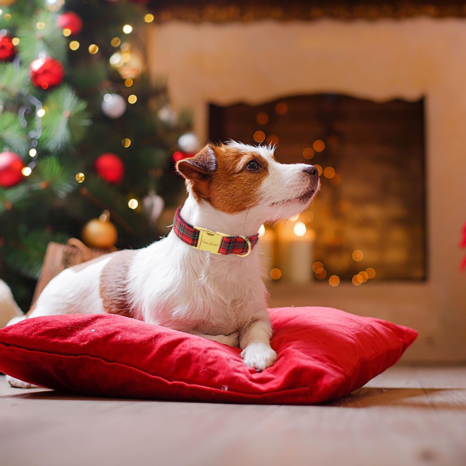 Unique style paws Christmas design collar adds festive style for holidays.