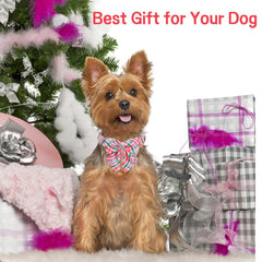 Unique Style Paws adjustable collar with anti-skid buckle designed to grow with your dog