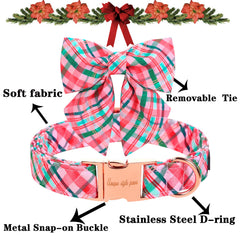 Unique Style Paws collar with tie close-up on buckle showing secure D-ring for walks