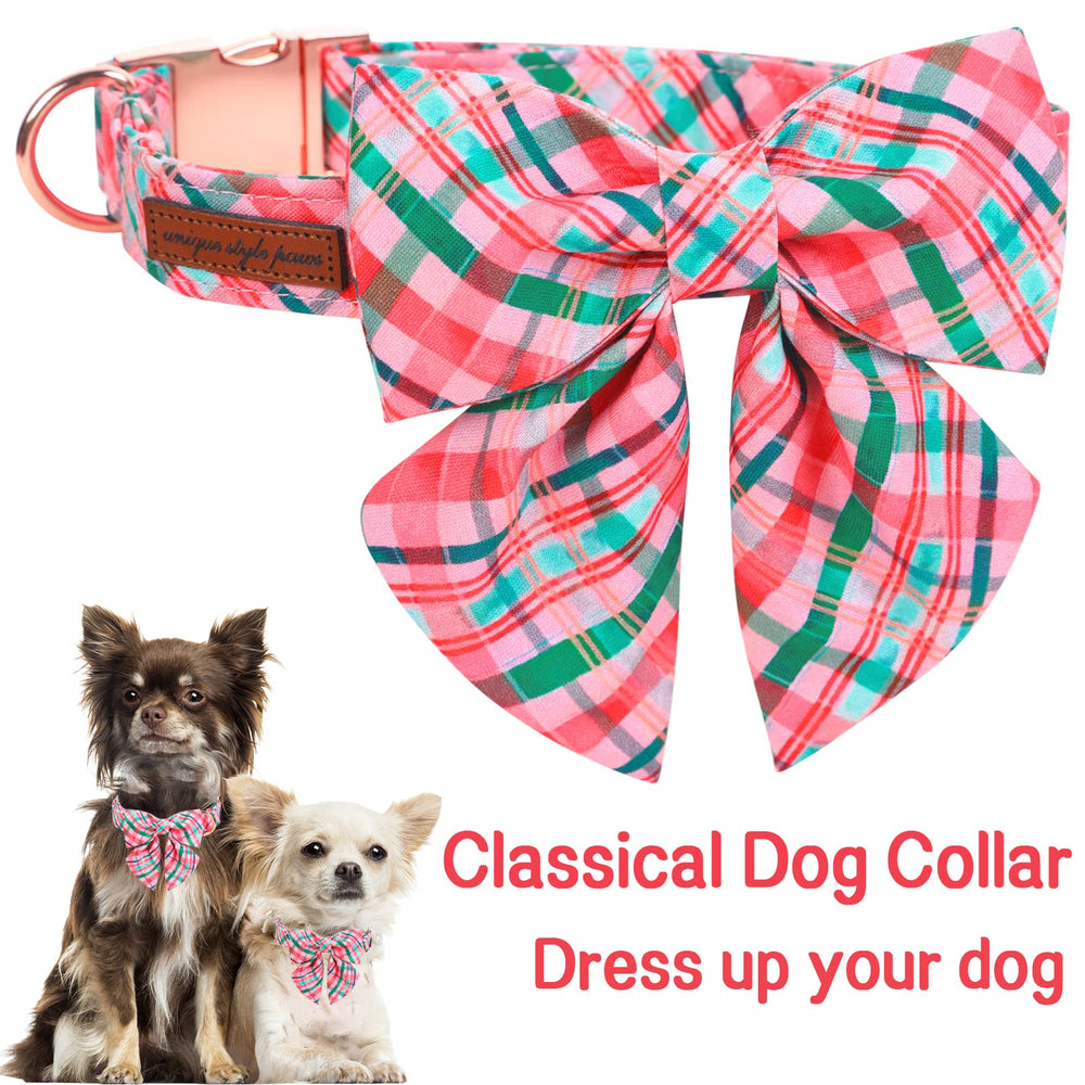 Unique Style Paws collar with detachable tie demonstrating easy DIY styling options