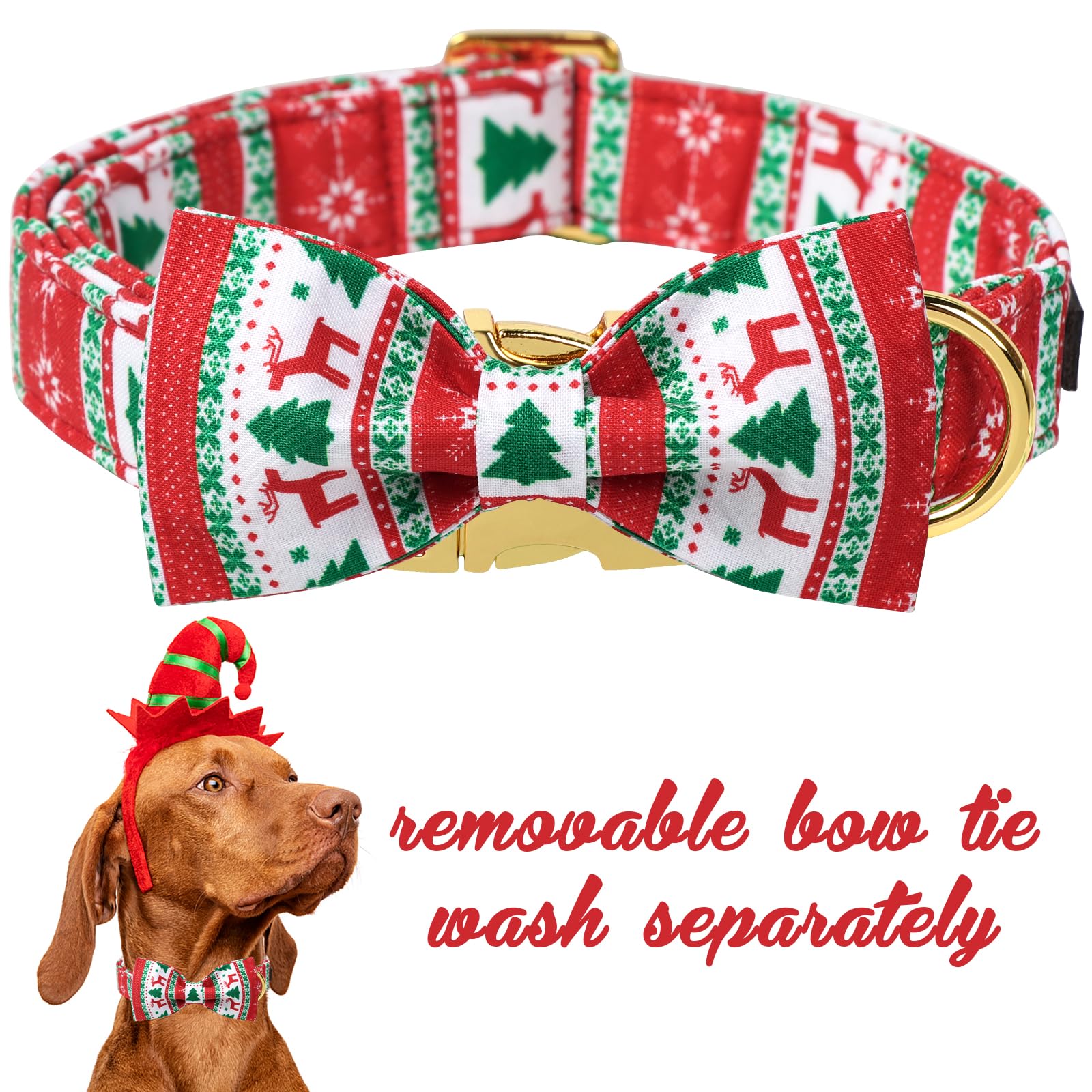 Unique Style Paws dog collar worn outdoors during walks adds festive flair