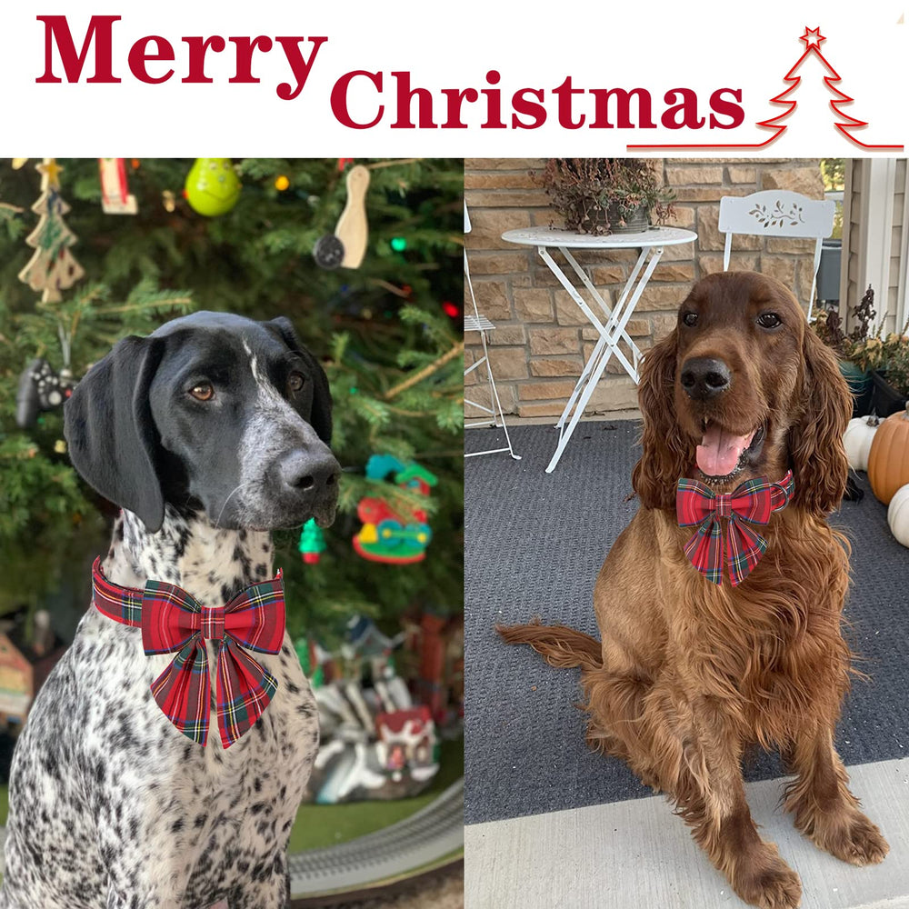 Unique style paws durable welded D-ring for everyday wear