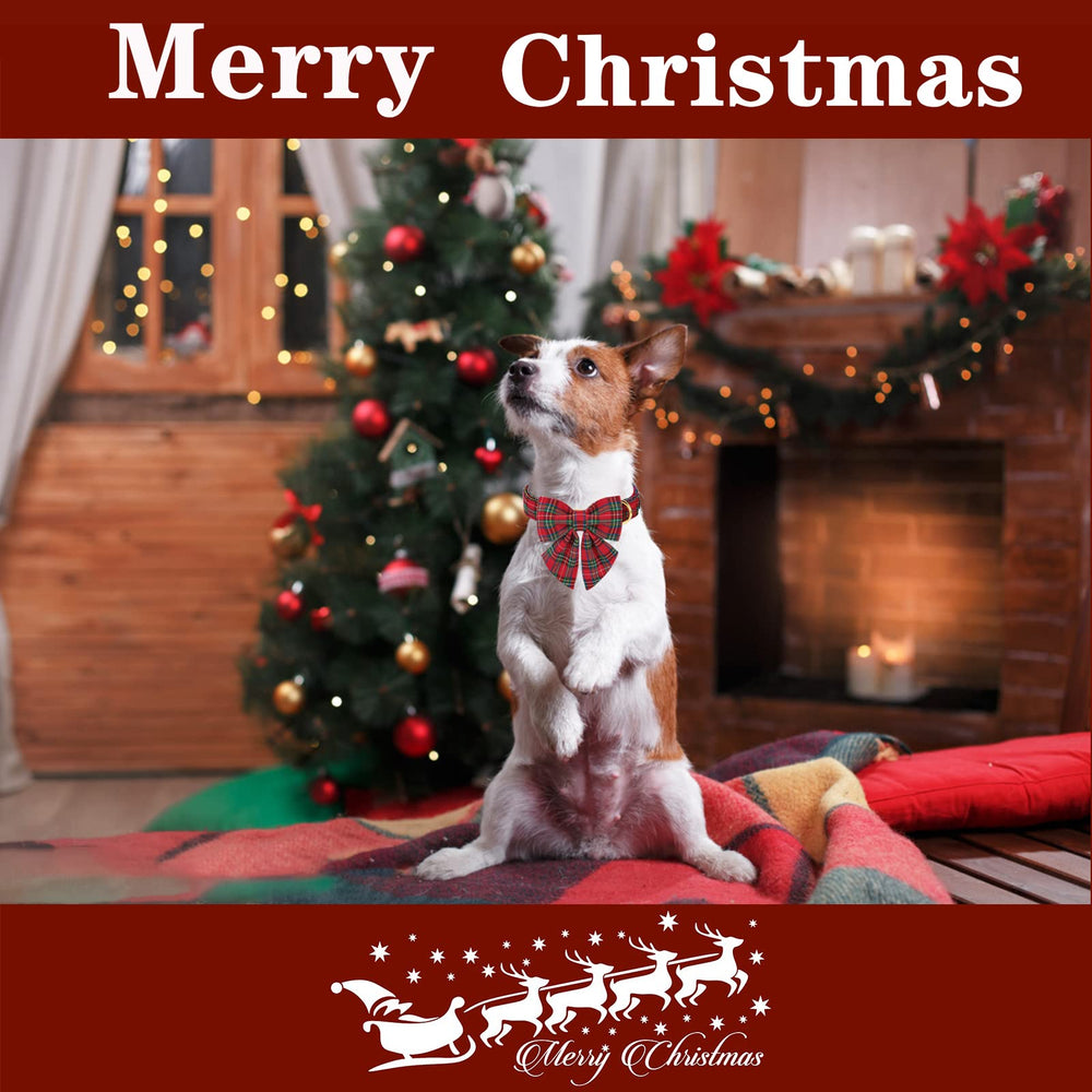 Unique Style Paws festive Scottish plaid collar for Christmas and winter adventures.