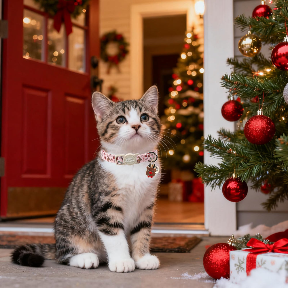 Unique Style Paws handmade stitching collar ensures durable craftsmanship for holidays.