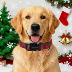 Unique Style Paws pendant buckle detail on festive dog collar.