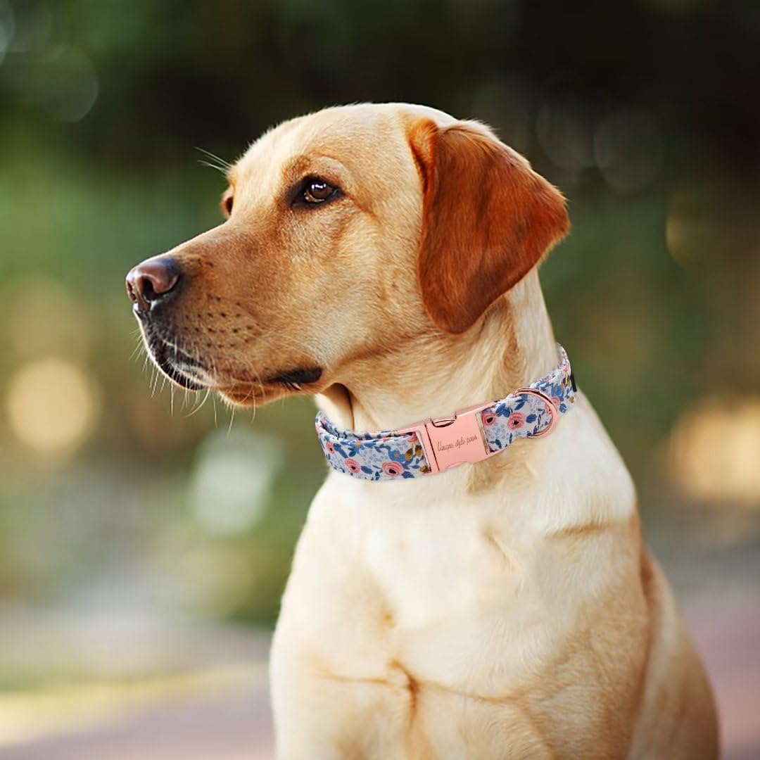 Unique Style Paws rose collar d-ring detail emphasizing secure leash attachment