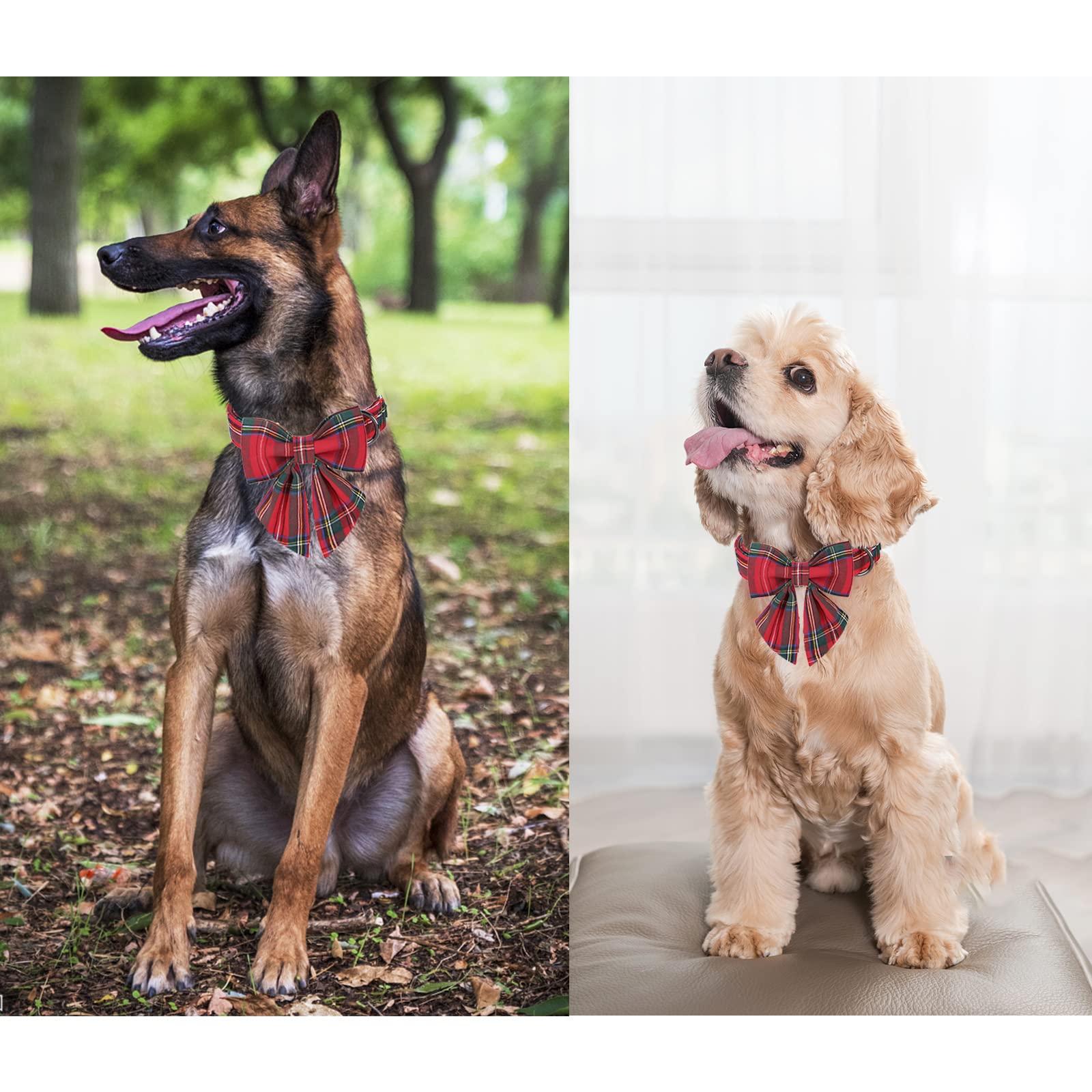 Unique style paws soft cotton material keeps skin comfy