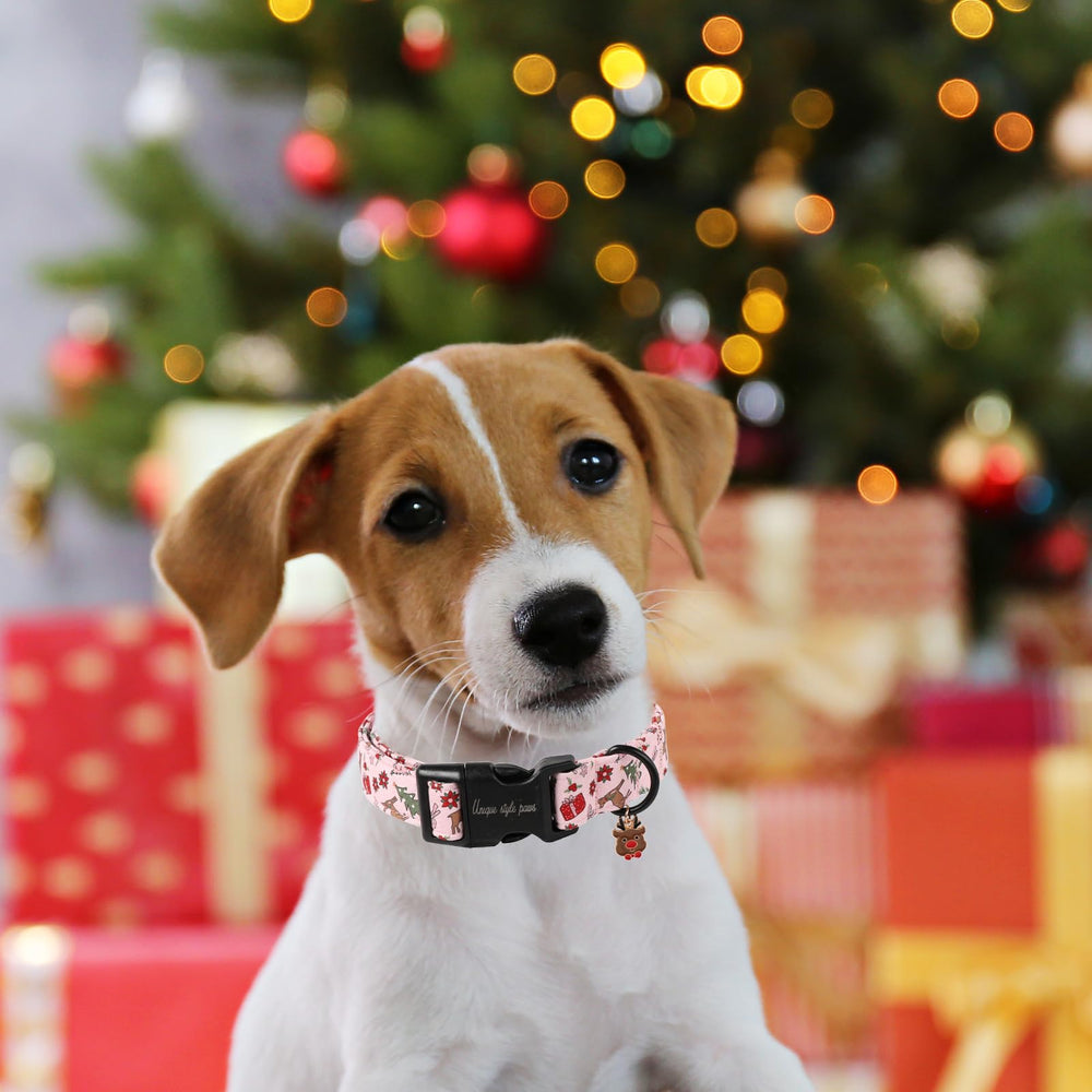 Unique Style Paws soft cotton material collar offers gentle skin-friendly wear.