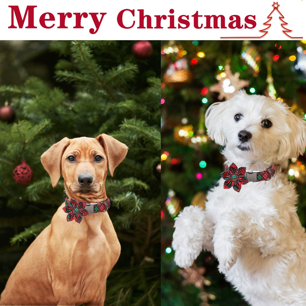 Unique Style Paws Pure Cotton Fabric collar demonstrates skin-friendly comfort.