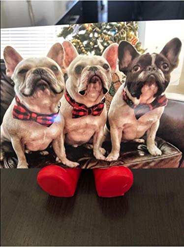 Unique Style Paws welded D-ring hardware ensures sturdy leash attachment for adventures.