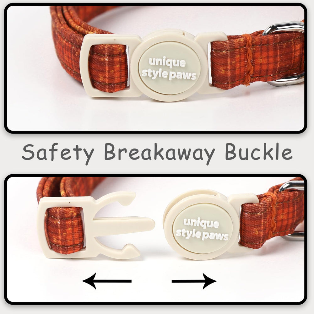 Unique style paws grid orange brown collar on playful cat.