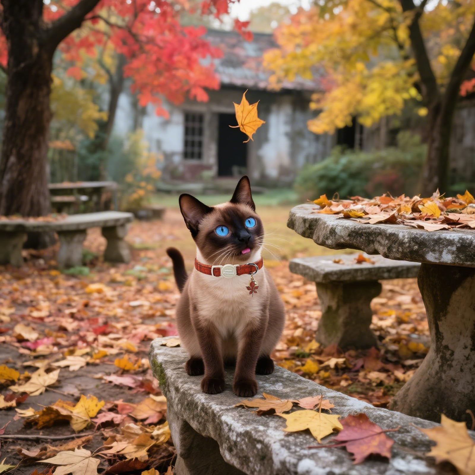 Unique style paws small pet collar with pendant for everyday wear