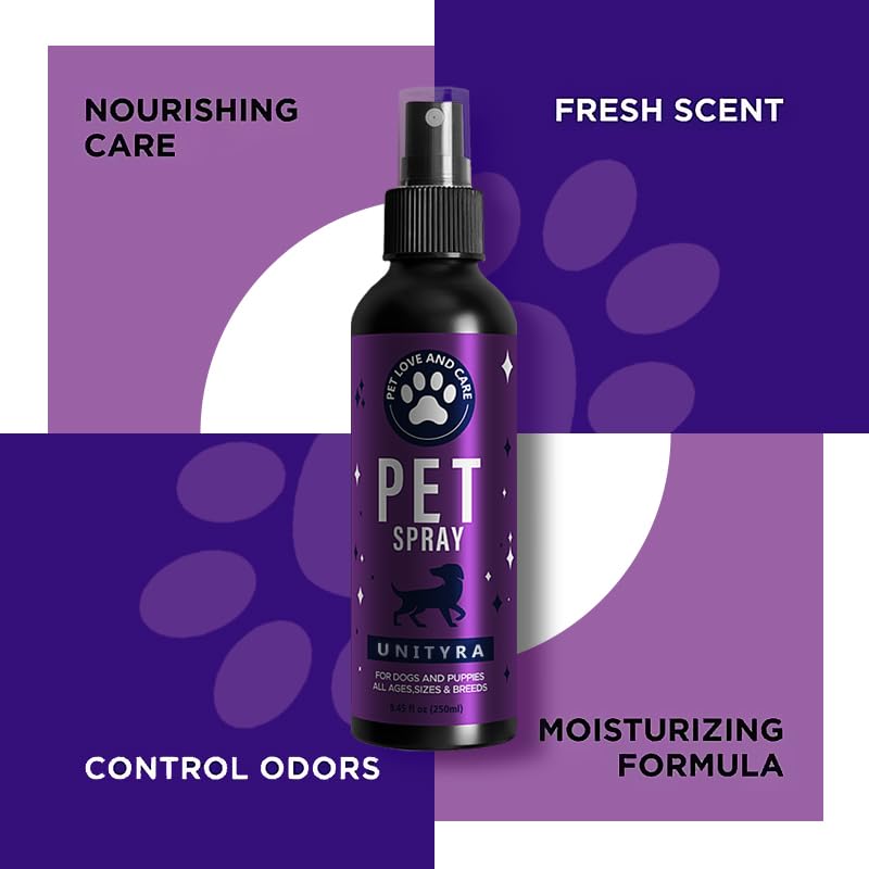 UNITYRA room scene showing tidy space after spraying