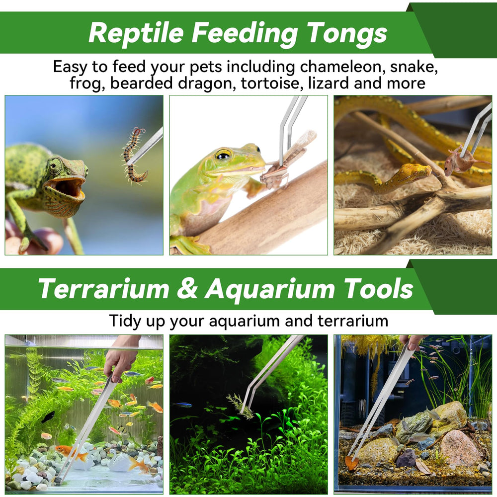 Unlumm reptile feeding tongs in use help avoid bites while feeding.