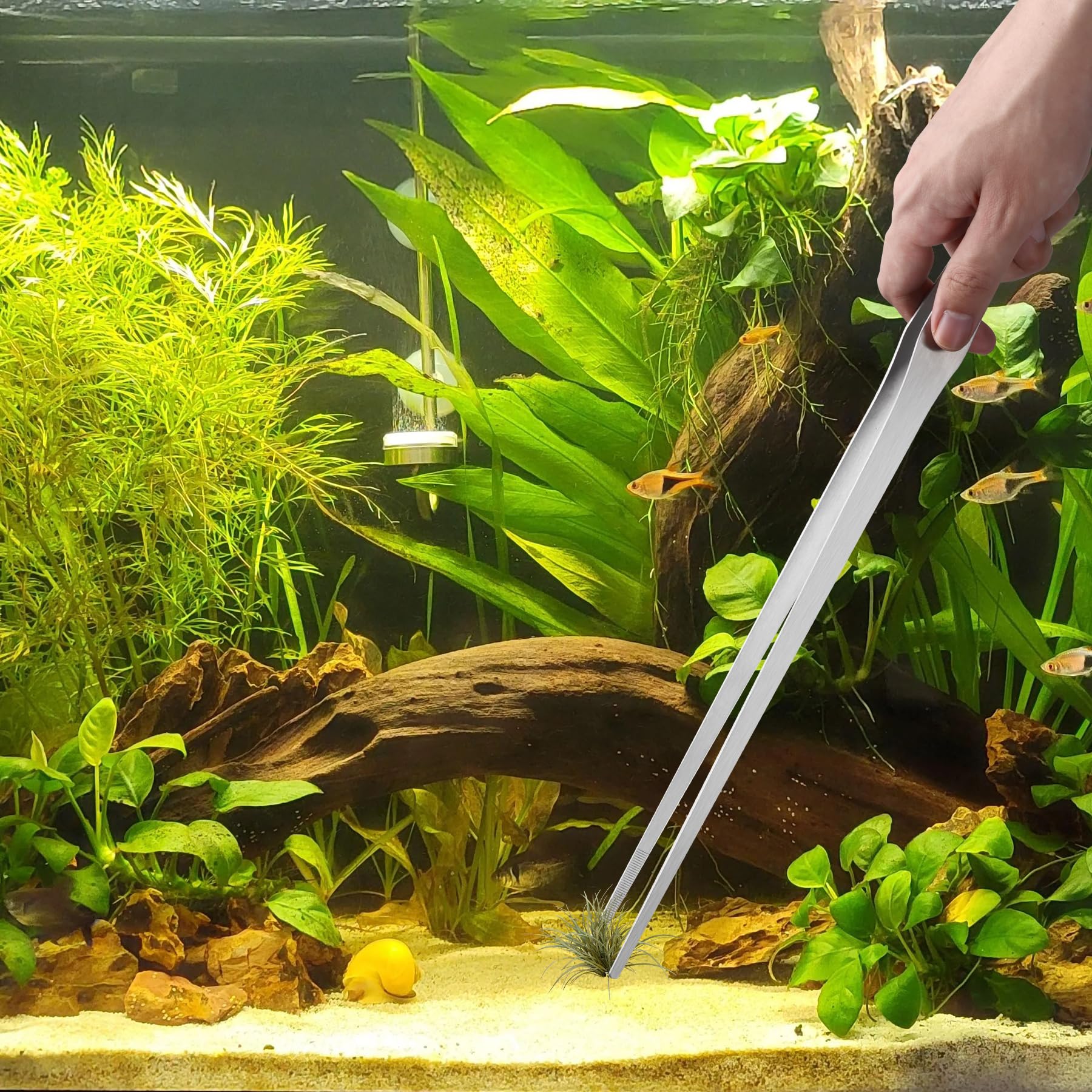Unlumm terrarium-tank-accessories expand kitchen and garden tasks beyond reptile care.