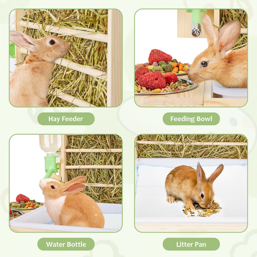 UNMOONY carrot-toy-included enrichment alongside feeding