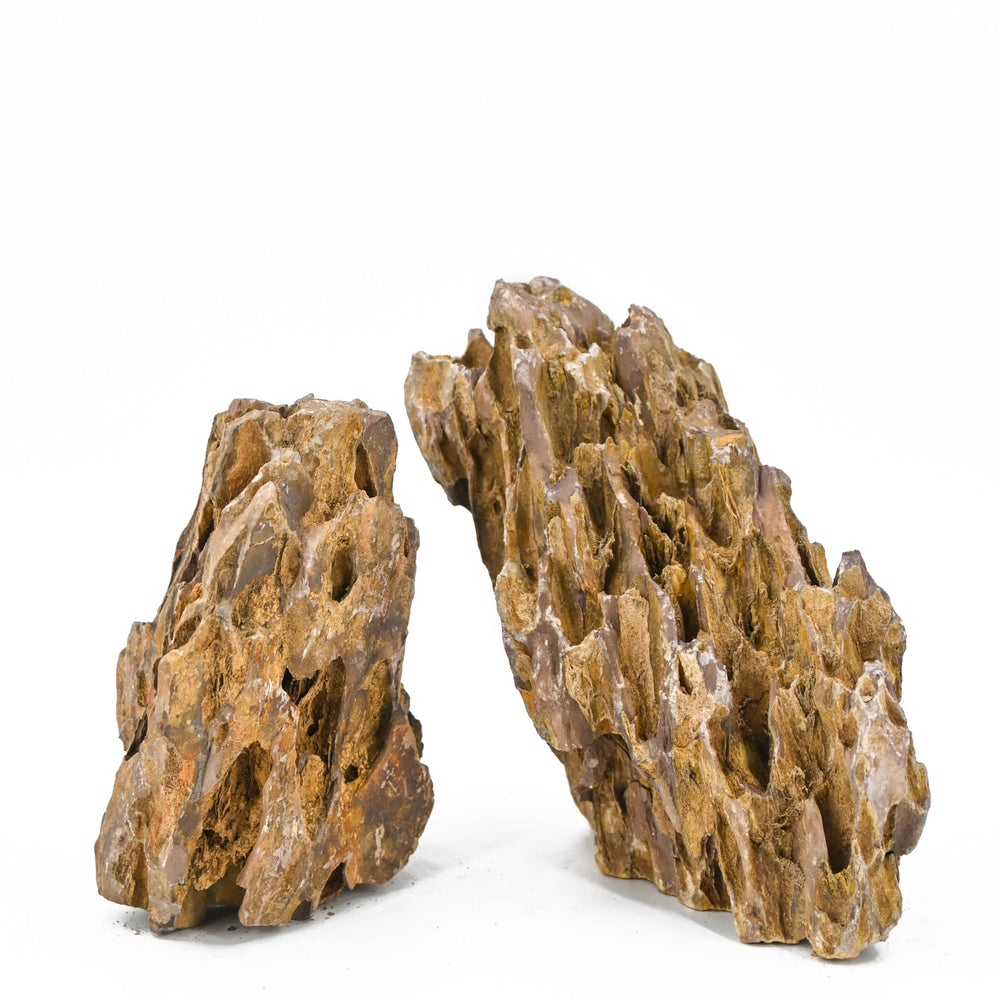 Unocho Dragon Stone aquascape mountain demonstrates a dramatic planted-tank landscape