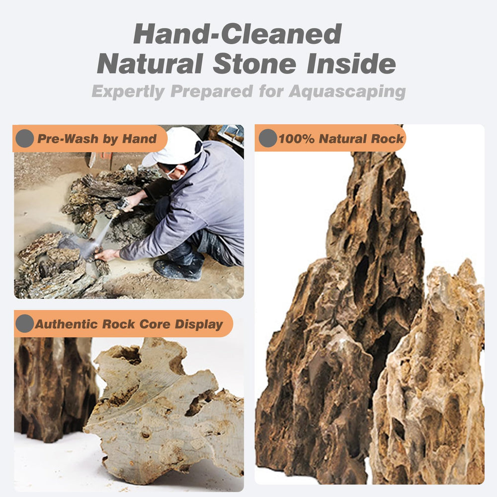 Unocho Dragon Stone paludarium setup offers natural rock features for amphibian habitats