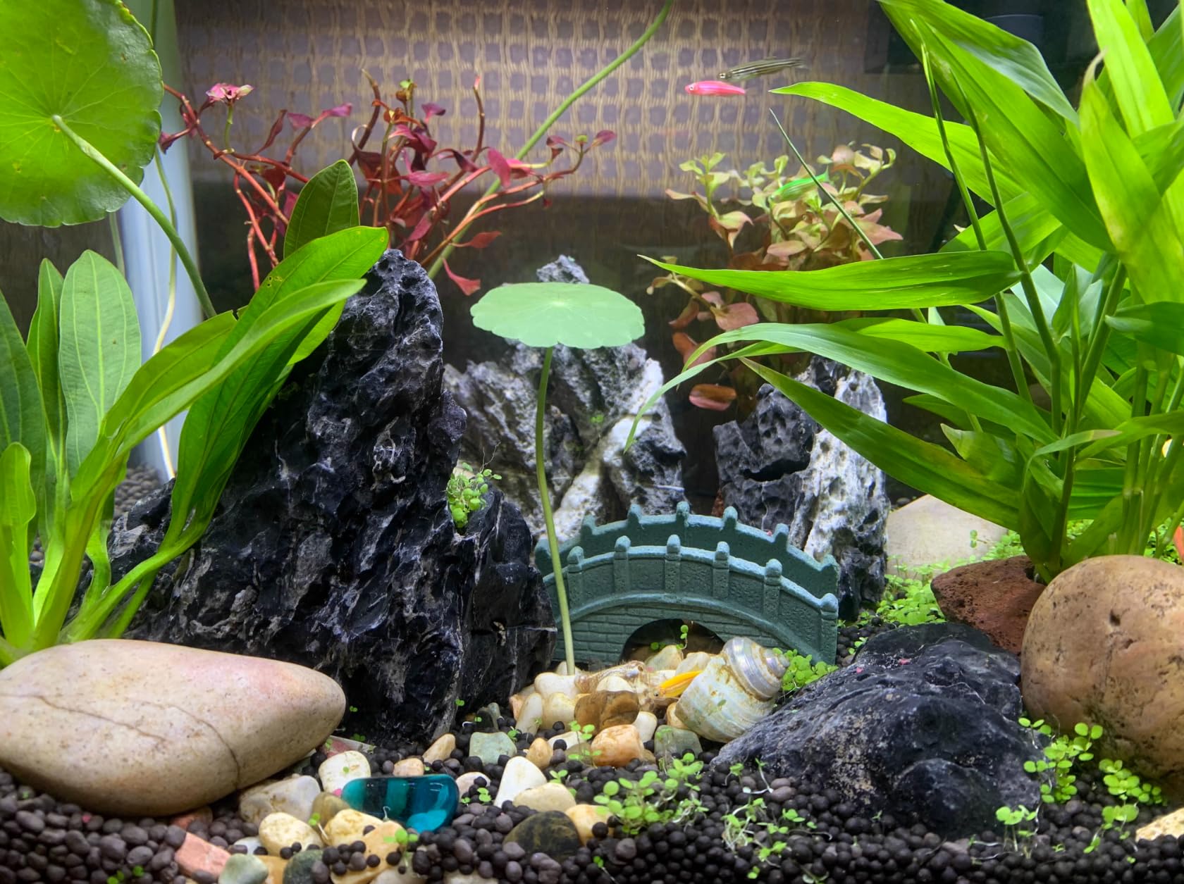 Unocho Seiryu Rock mountain sculpture creates focal points in tanks.