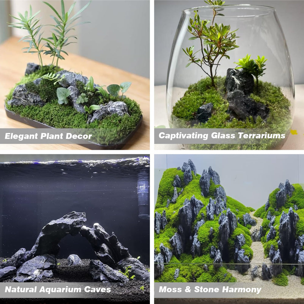 Unocho Seiryu Rock plant adhesion enables lush greens in tanks.
