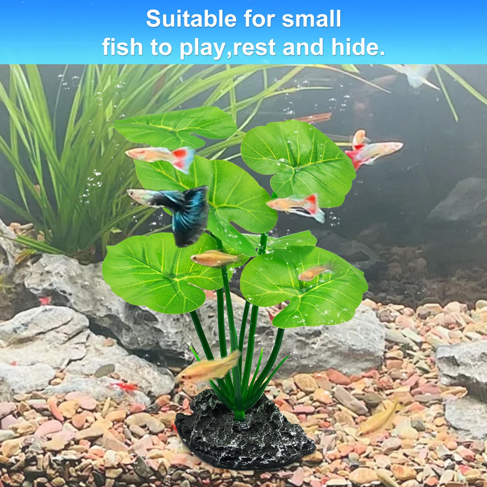 Uoiispet anti-hydrolysis color retention maintains plant saturation