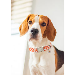 UP URARA PUP adjustable-fit collar with five sizes for any dog