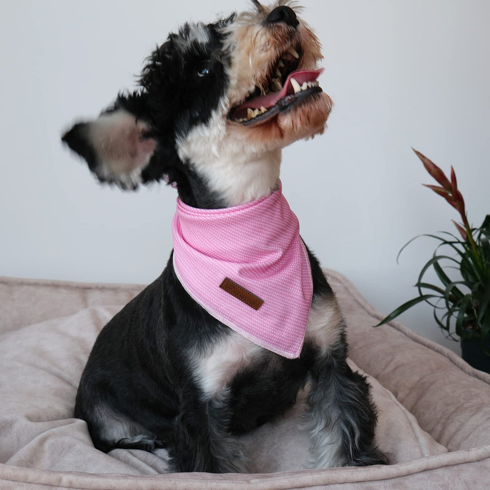 UP URARA PUP folded triangle bandana presented for versatile wear.