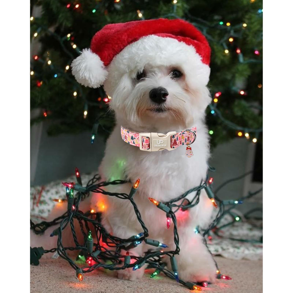 UP URARA PUP Christmas Tree Charm enhances festive appeal during walks.