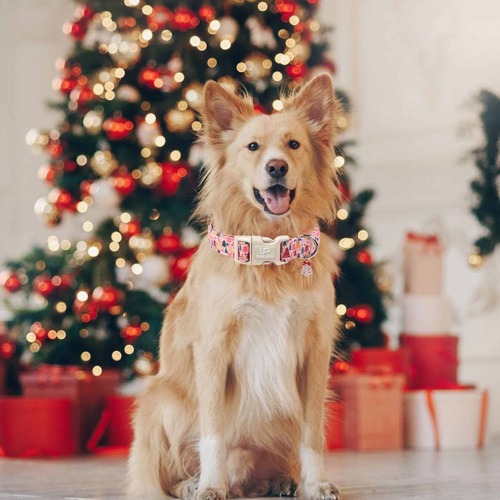 UP URARA PUP holiday-ready accessory for seasonal adventures.