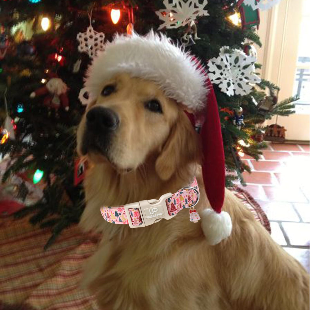 UP URARA PUP durable soft nylon collar offers daily comfort.