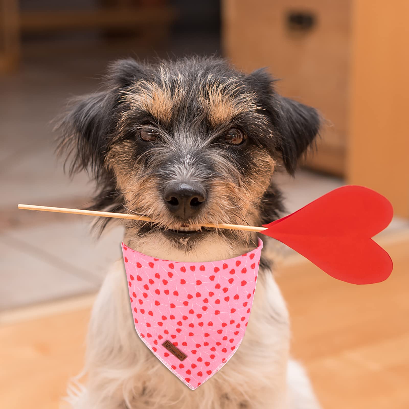 UP URARA PUP machine washable bandana close-up - easy care for busy pet owners