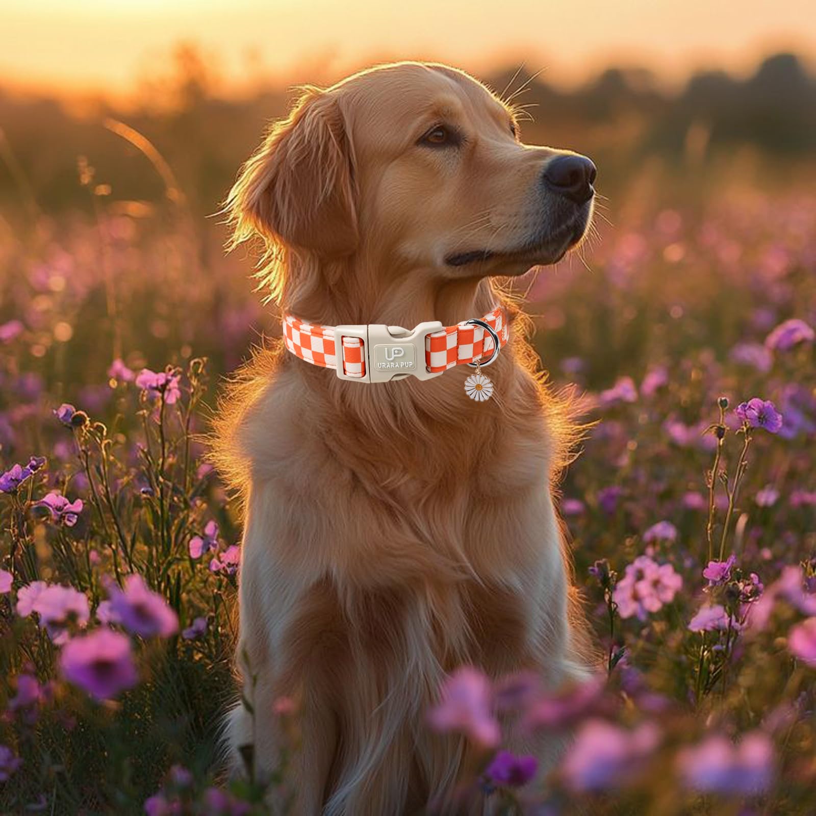 UP URARA PUP soft cotton material keeps skin comfortable daily