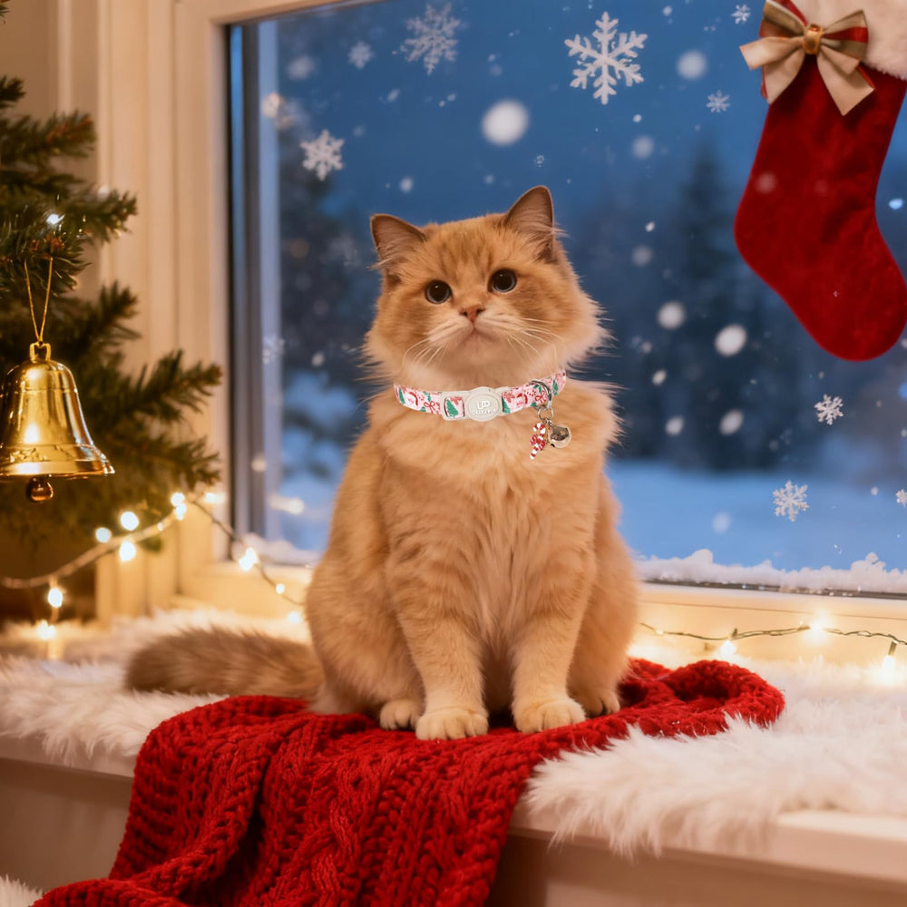 UP URARA PUP yellow-orange grid closeup showing lightweight cotton comfort