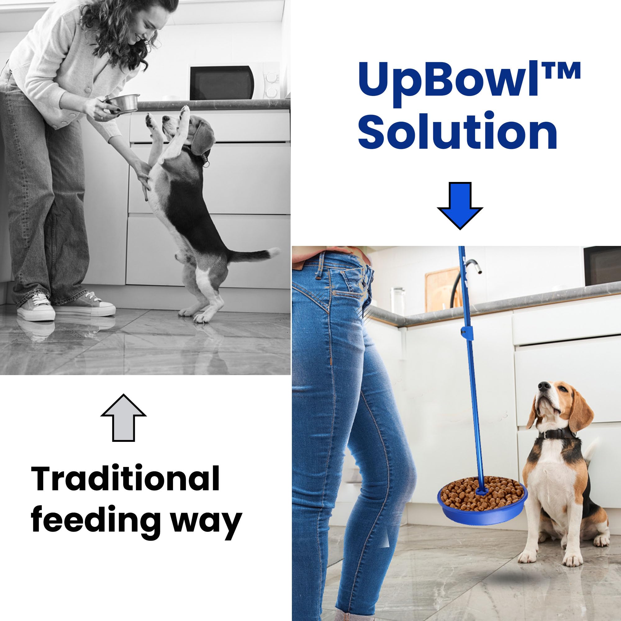 UpBowl Kit in action showing hands-free feeding for pets