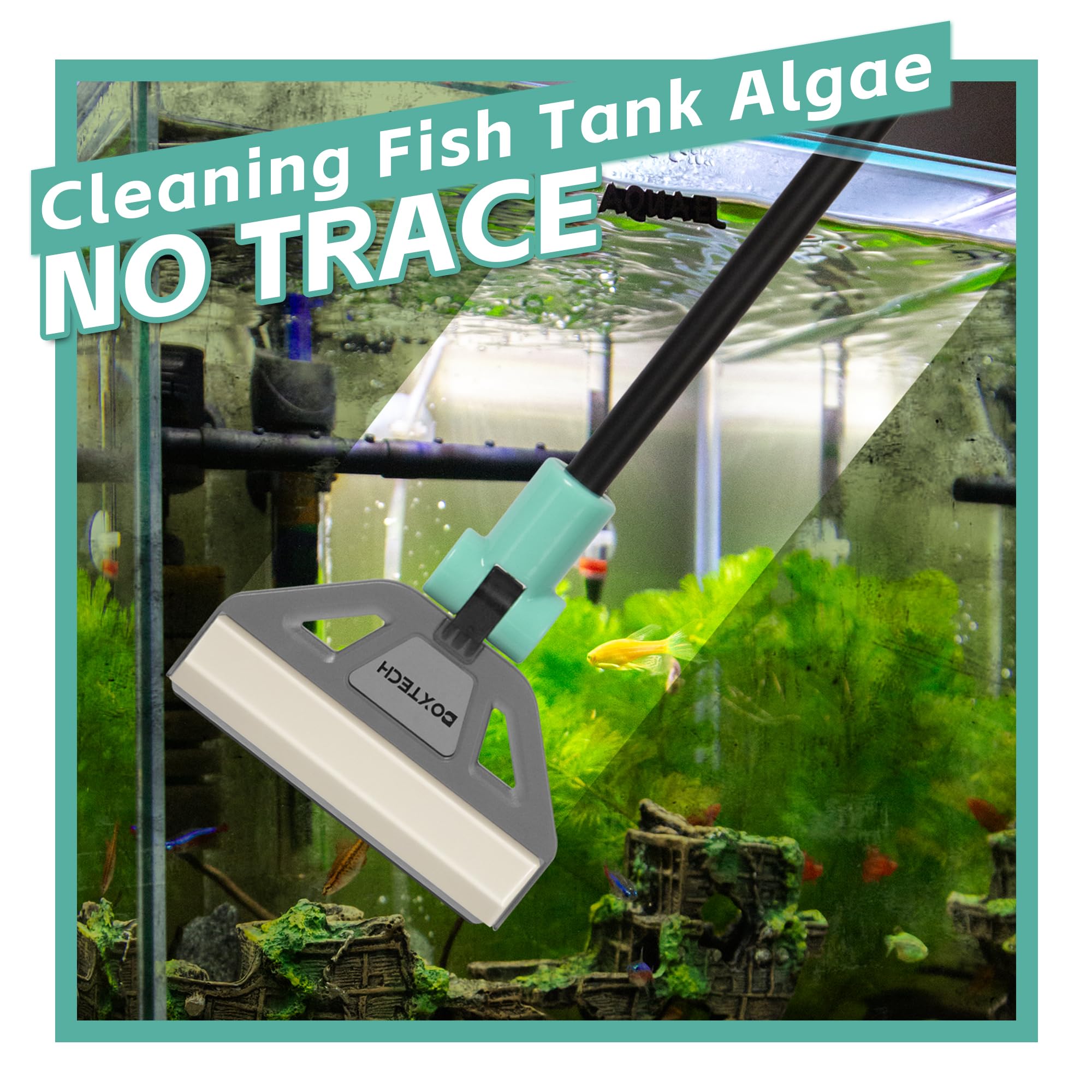 UPETTOOLS five-blade scraper handles stubborn algae efficiently.