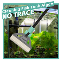 UPETTOOLS five-blade scraper handles stubborn algae efficiently.