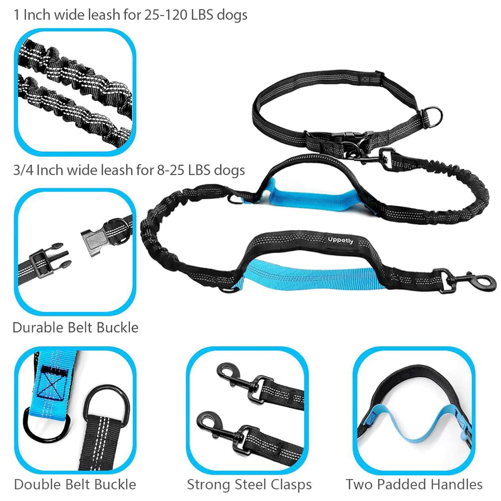 Uppetly dual-bungee dog leash shows shock absorption during sudden pulls up to 150 lb.